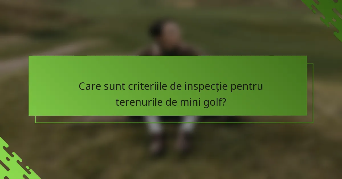 Care sunt criteriile de inspecție pentru terenurile de mini golf?