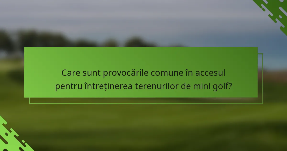 Care sunt provocările comune în accesul pentru întreținerea terenurilor de mini golf?