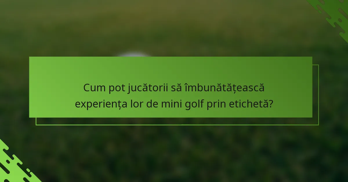 Cum pot jucătorii să îmbunătățească experiența lor de mini golf prin etichetă?